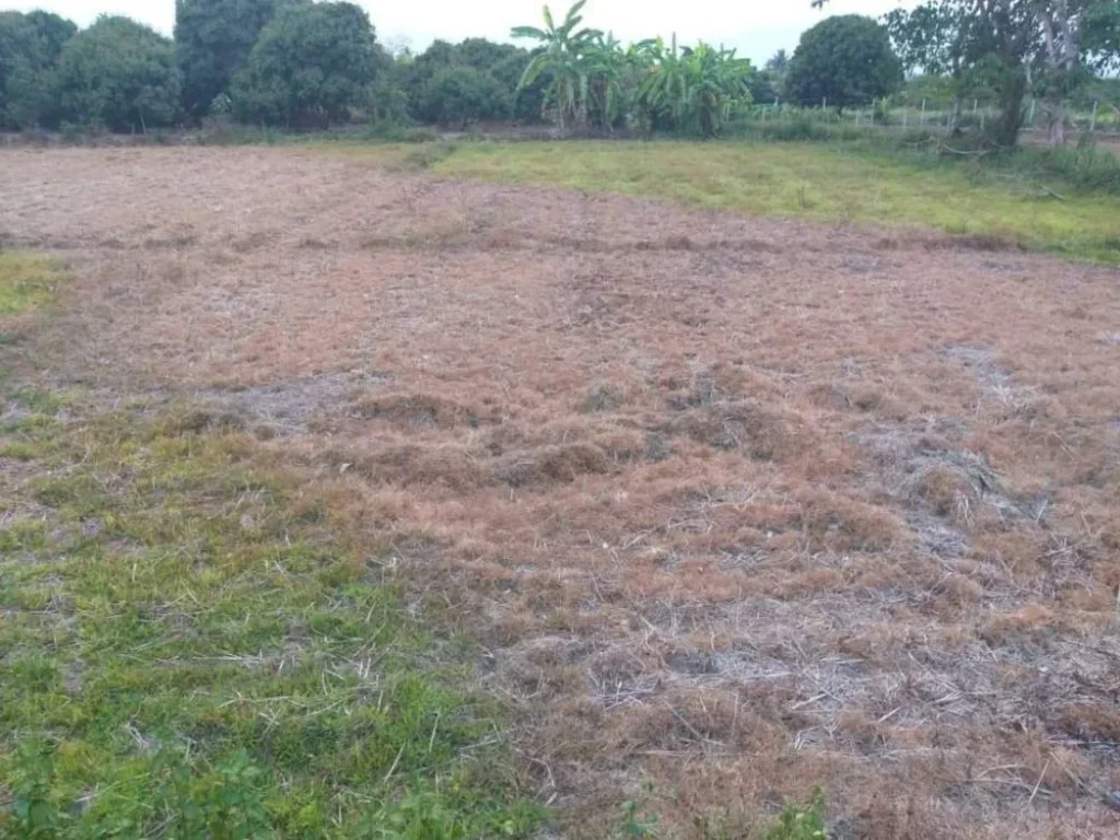 ขายที่ดินวิวดอย น้ำบ่อหลวง สันป่าตอง เชียงใหม่