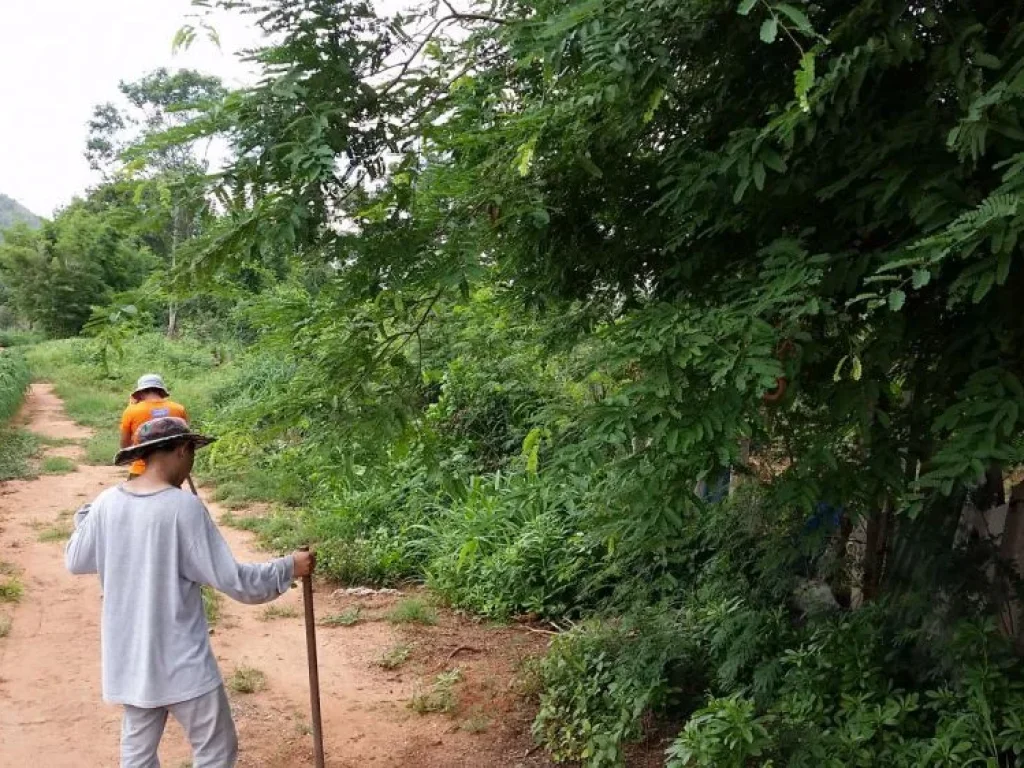 ที่ดินลำตะคอง คลองไผ่ เขาพริก สีคิ้ว