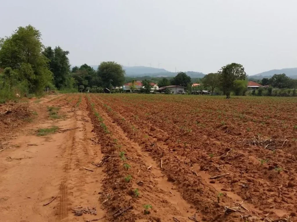 ที่ดินลำตะคอง คลองไผ่ เขาพริก สีคิ้ว