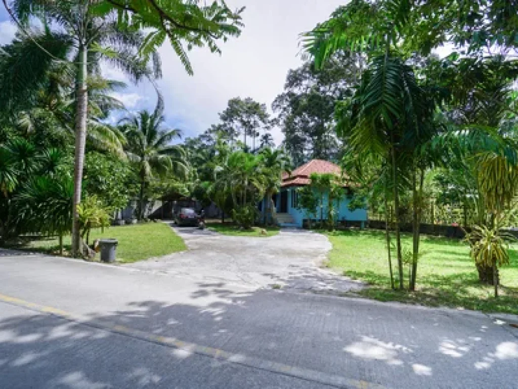 For Sale Land with 2 single House in Lamai Koh Samui