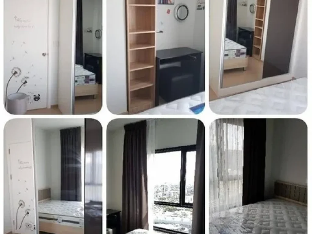 RENT Condo The Tree เดอะทรี สุขุมวิท 71-เอกมัย 2ห้อง พร้อมอยู่ ให้เช่า16000ต่อเดือน