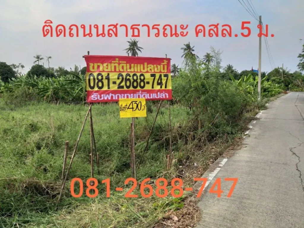 ขายที่ดินราคาถูก 430 ตาางวา ซอยเกษตรพัฒนา 1 ใกล้ถนนชัยพฤกษ์ ปากเกร็ดนนทบุรี