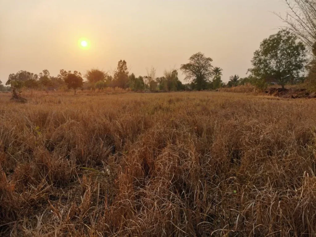 ขายที่ดิน 2-1-82 ไร่ ติดชุมชน เหมาะสร้างบ้านจัดสรร ถมะลิวัล-แดนคูนกล์อฟ คลับ