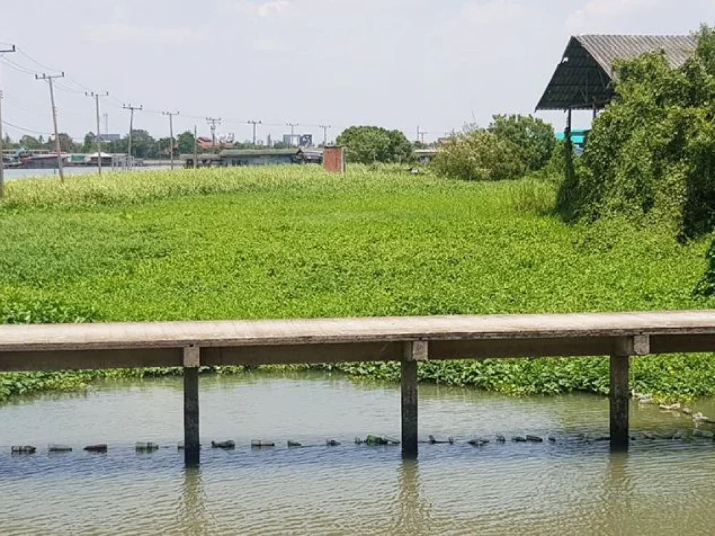 ขายบ้านพร้อมที่ดินติดริมแม่น้ำเจ้าพระยา อเกาะเกร็ด จนนทบุรี