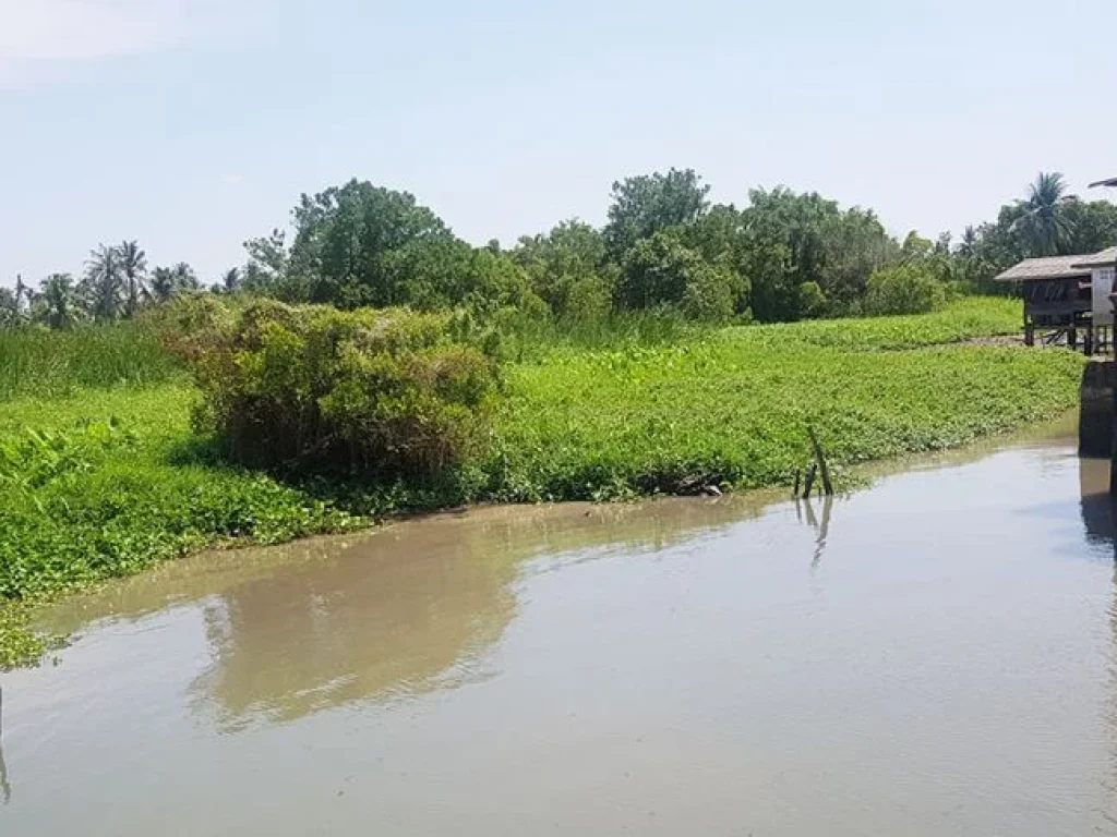 ขายบ้านพร้อมที่ดินติดริมแม่น้ำเจ้าพระยา อเกาะเกร็ด จนนทบุรี