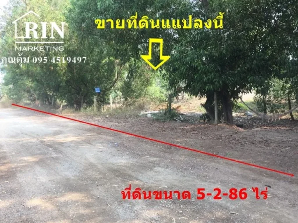 ขายที่ดิน 5-2-86 ไร่ ซอยไอยรา 29 คลองสอง คลองหลวง ปทุมธานี ติดต่อ คุณตุ้ม 095 4519497