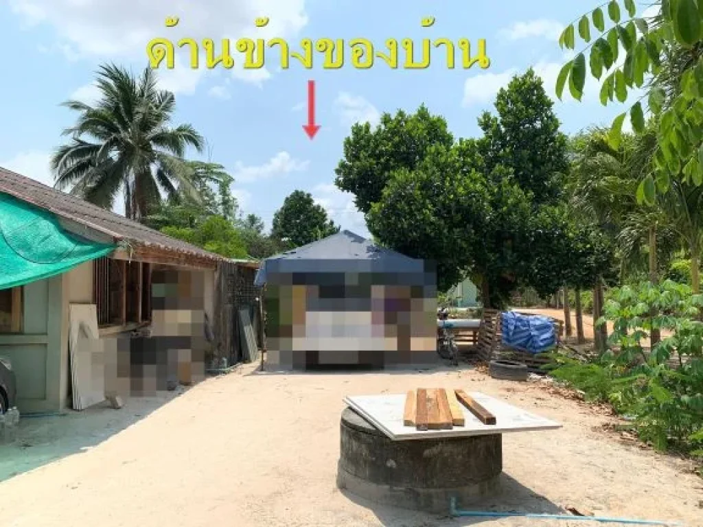 ขายบ้านเดี่ยวพร้อมที่ดิน 215 ตรว มาบข่า จระยอง