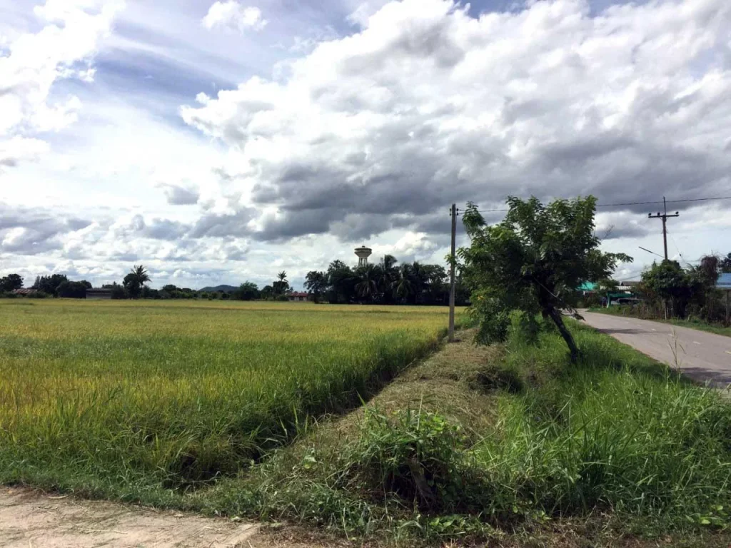 จัดเต็ม ผสานธรรมชาติให้ลงตัวกับการพักอาศัย ที่ดินสวยพร้อมกับเนื้อที่ดินจำนวนมากถึง 6624 ตารางวา ส่วนตัวสุดๆ