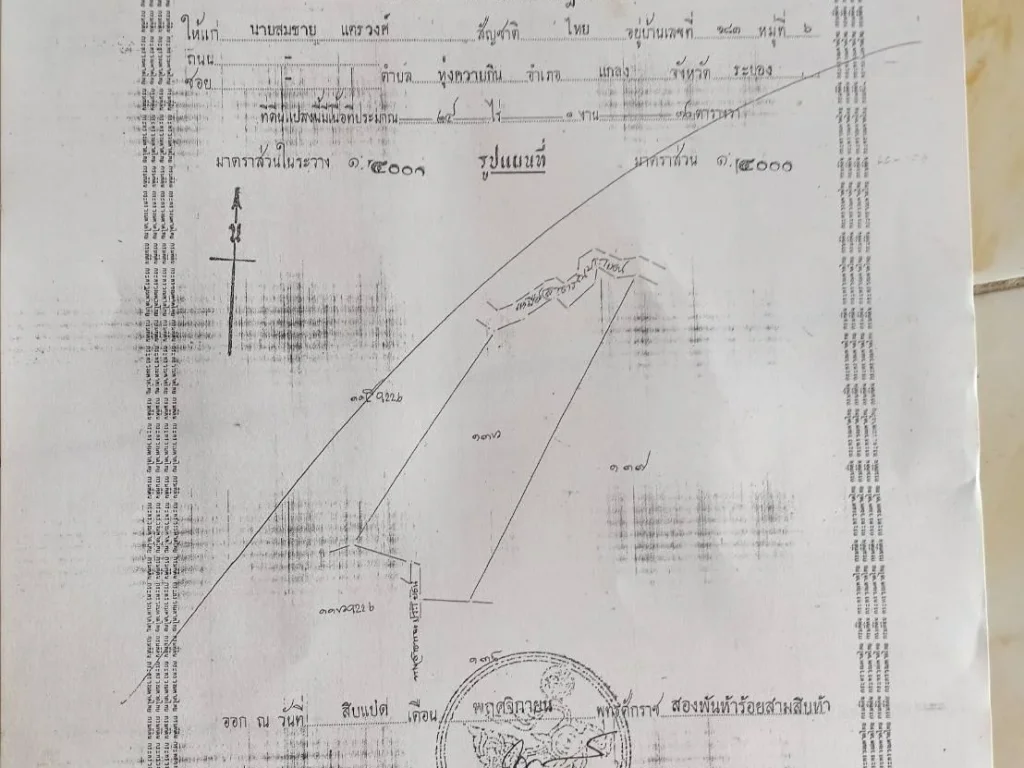 ขายสวนยางพารา 24-1-70ไร่ พร้อมกรีด มีถนนดิน