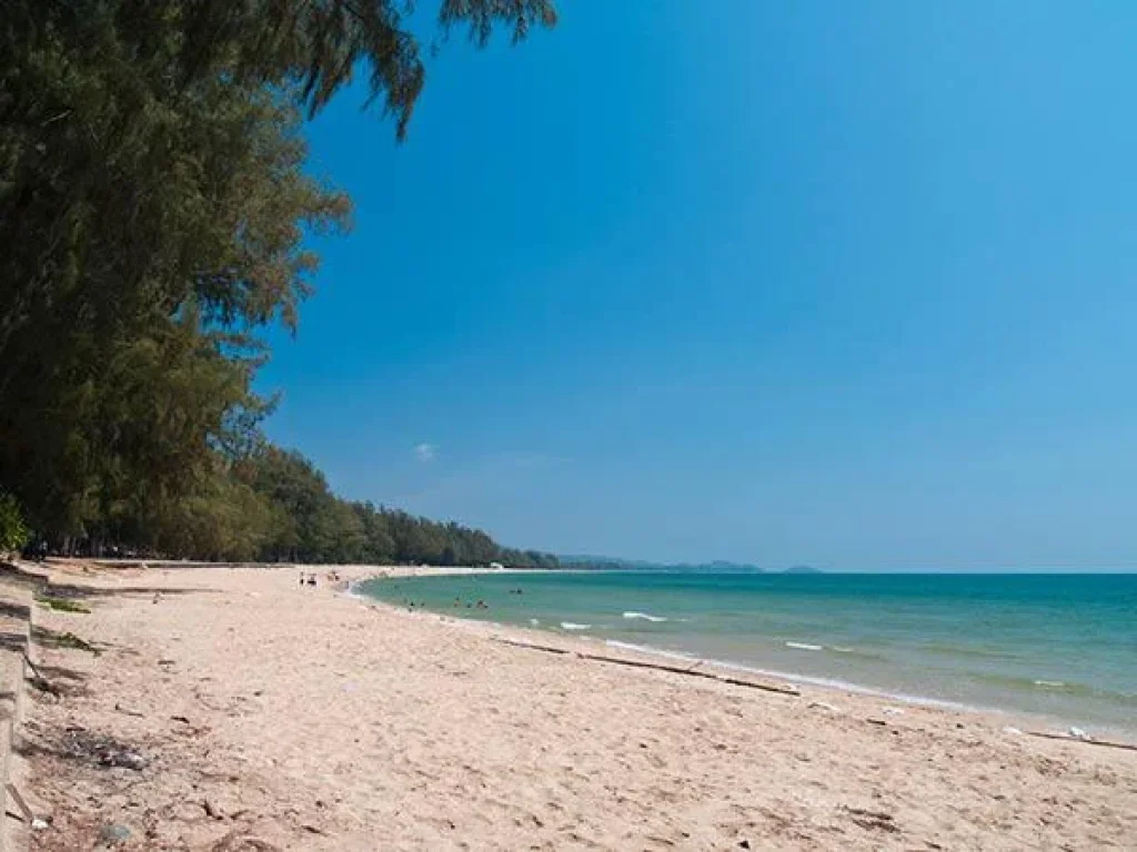 ขายที่ดินติดทะเล ชายหาดแม่พิมพ์ โฉนด 4 ไร่ หาดส่วนตัว