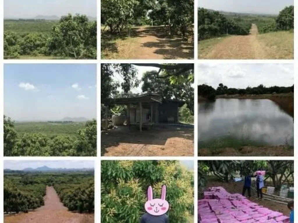 33 ม4 บ้านหนองมะค่า ตำบลทุ่งขนาน อำเภอสอยดาว จังหวัดจันทบุรี