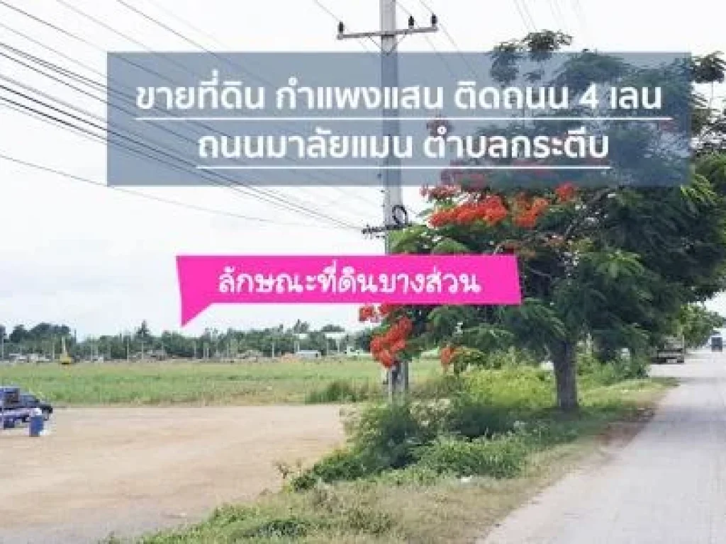 ขายที่ดิน กำแพงแสน ติดถนน 4 เลน