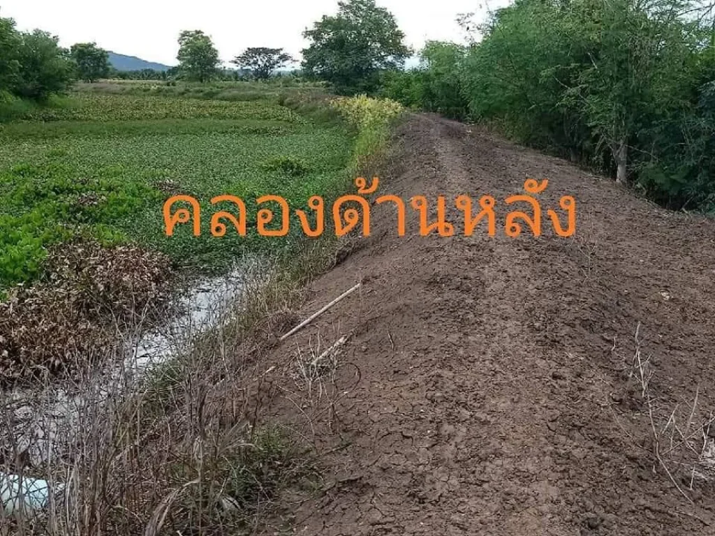 ที่ดินติดคลองดิน23ไร่ๆละ3แสนเหมาะทำสวนตบางโตนดอโพธารามจราชบุรี