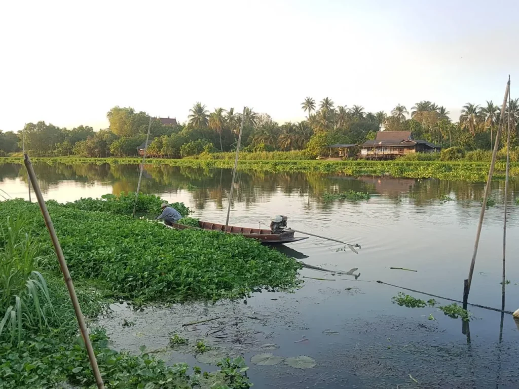 ที่ดินสวนริมแม่น้ำนครชัยศรี ใกล้เซ็นทรัลศาลายา