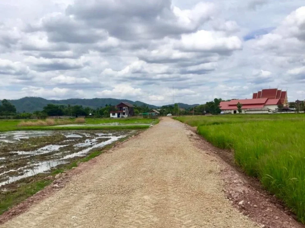 ขายที่ดินเปล่า บ้านดอนเรือง ตเวียงชุม