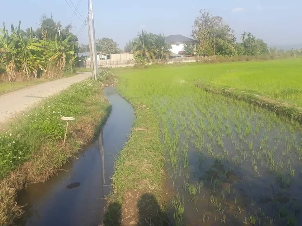 ที่ดินเปล่าบรรยากาศสุดยอดขายถูกในเชียงใหม่