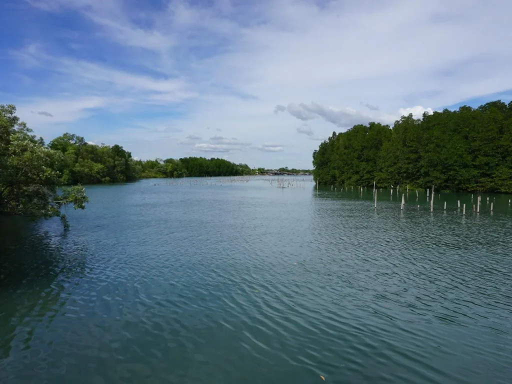 ขายที่ดินทำรีสอร์ท ริมคลอง ติดชายหาดทะเล น้ำใส ไหลตลอดทั้งปี โฉนด 686 ตารางวา