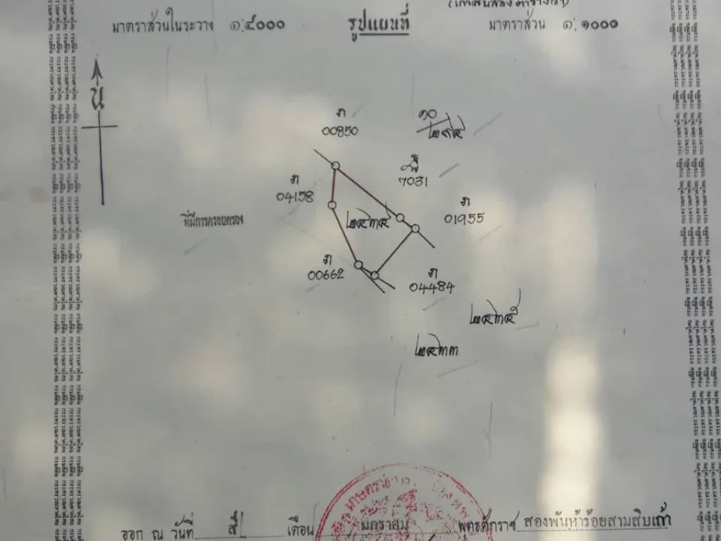 บ้านพร้อมที่ดิน 92 ตารางวา