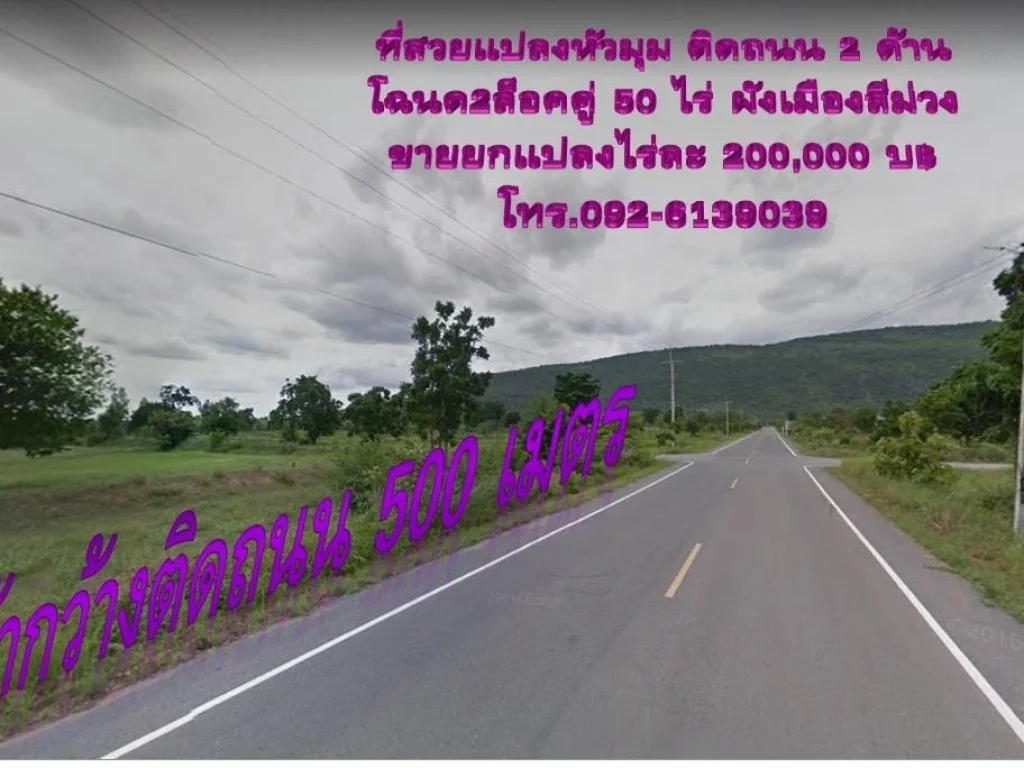 ที่สวยผังเมืองสีม่วงแปลงหัวมุม โฉนด 2 ล็อคคู่ 50 ไร่ หน้ากว้างติดถนน 500 เมตร เจริญ