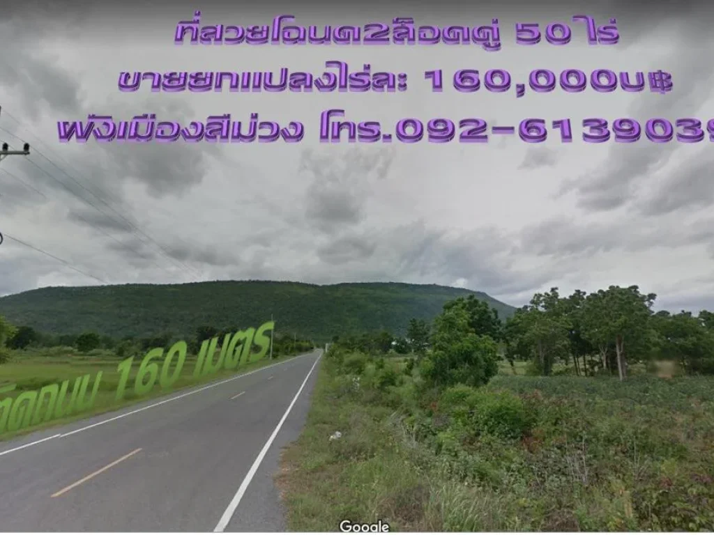 ที่สวยซอย 21 ผังเมืองสีม่วงโฉนด 2 ล็อคคู่ 50 ไร่ หน้ากว้างติดถนน 160 เมตร เจริญ