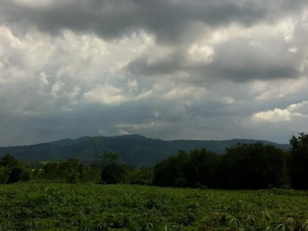 ขายที่ดิน 10 ไร่แบ่งขาย 5 ไร่ เขาใหญ่ บ้านสระน้ำใส ติดถนนลาดยาง 48 เมตร ด้านหลังติดคลองลำรางเล็ก วิวเทือกเขาใหญ่สวย