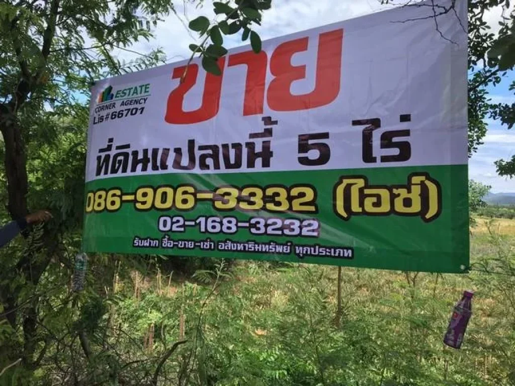 ขายที่ดินเปล่า 5ไร่ ประจวบคีรีขันธ์ คลองวาฬ