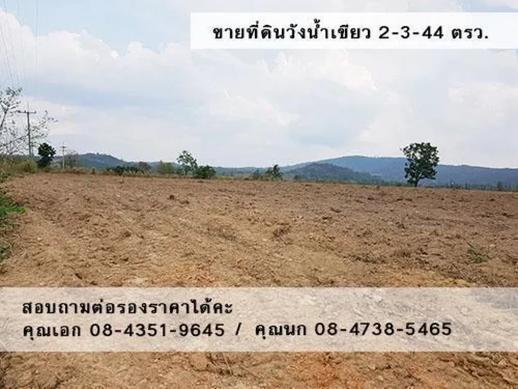 ขายที่ดินวังน้ำเขียว เนื้อที่ 2-3-44 ไร่ บรรยากาศดี วิวสวย อากาศเย็นสบาย