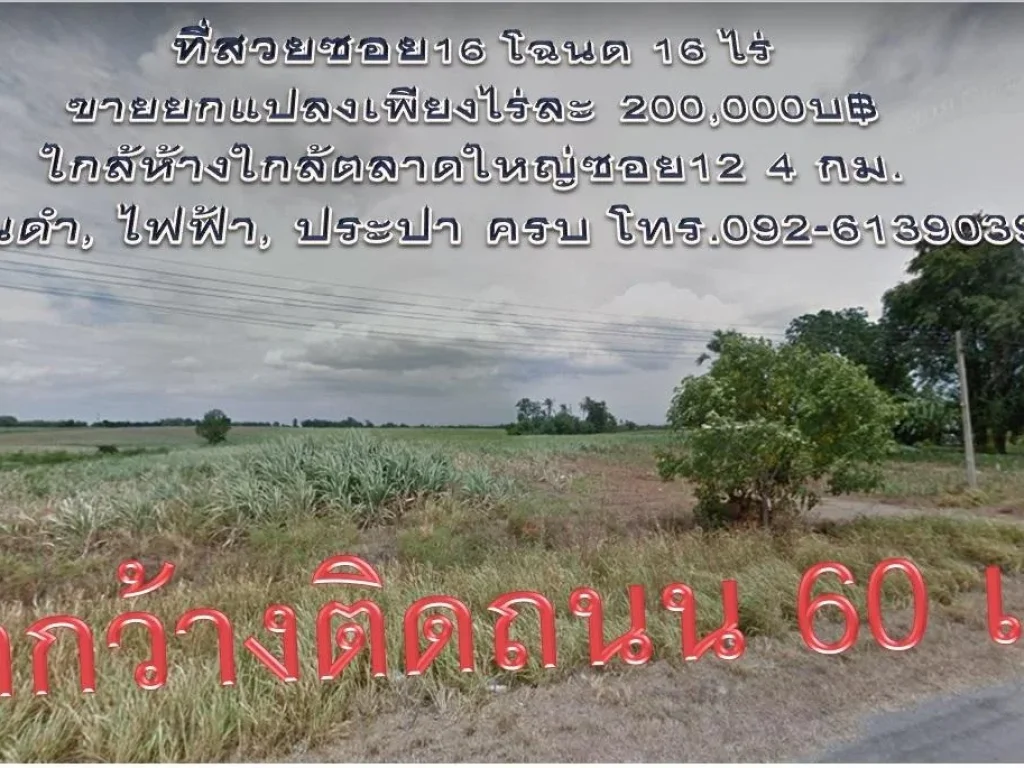 ที่สวยพัฒนานิคม โฉนด 16 ไร่ หน้ากว้างติดถนน 60 เมตร เจริญใกล้ห้างใกล้ตลาดใหญ่ซอย12 4กม