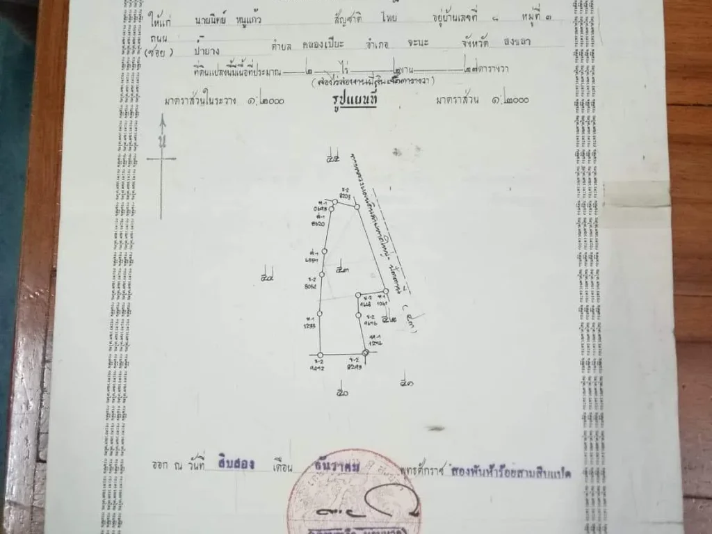 ที่ดินติดถนนเอเชีย 2ไร่ 2 งาน27 ตรว ใกล้โรงไฟฟ้าจะนะ