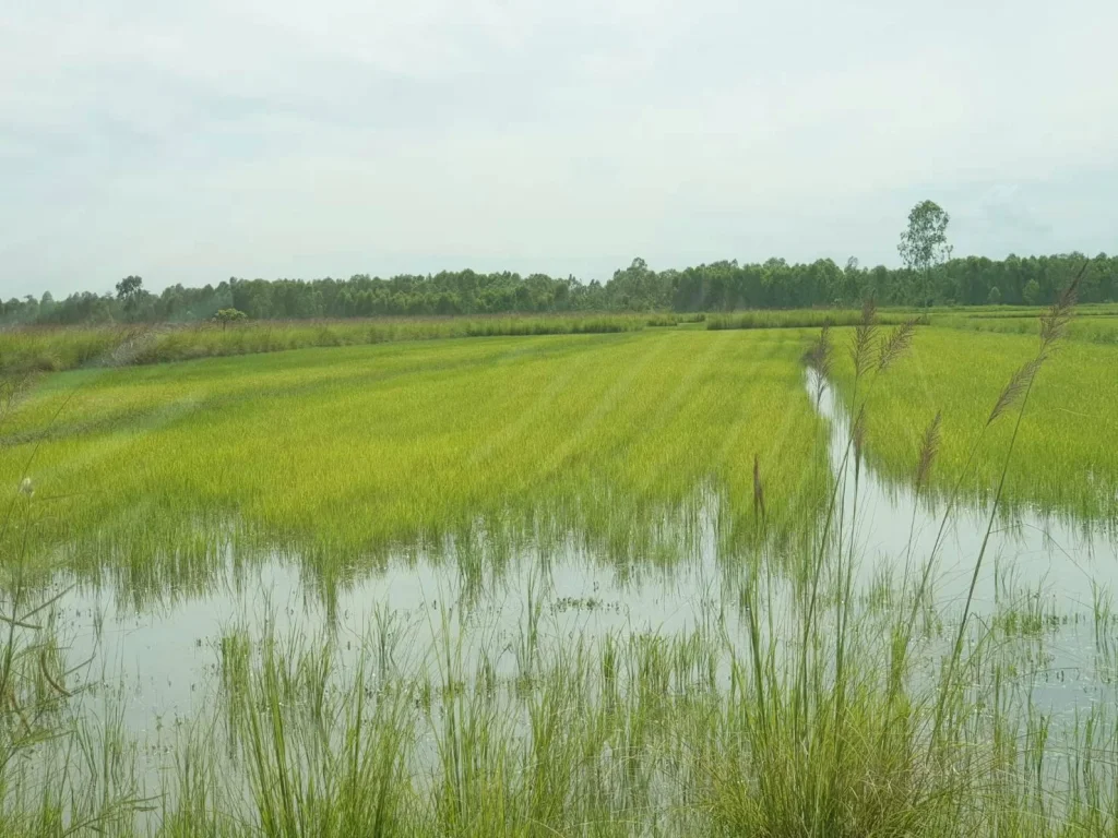 ที่นาอากาศอำนวยเกือบติดอ่างเก็บน้ำ