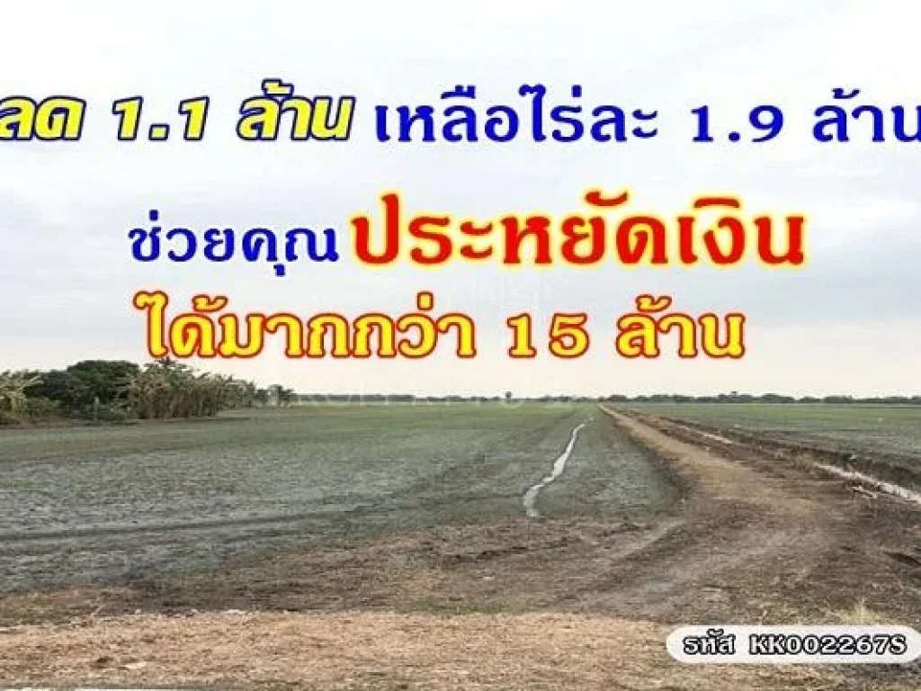 ลดไร่ละ 11 ล้าน ที่สวย 14 ไร่ 317 วา คลองสี่ ใกล้ฝั่งวังน้อย น้ำประปาไฟฟ้าครบ เดินทางง่าย ถนนลาดยางใหม่