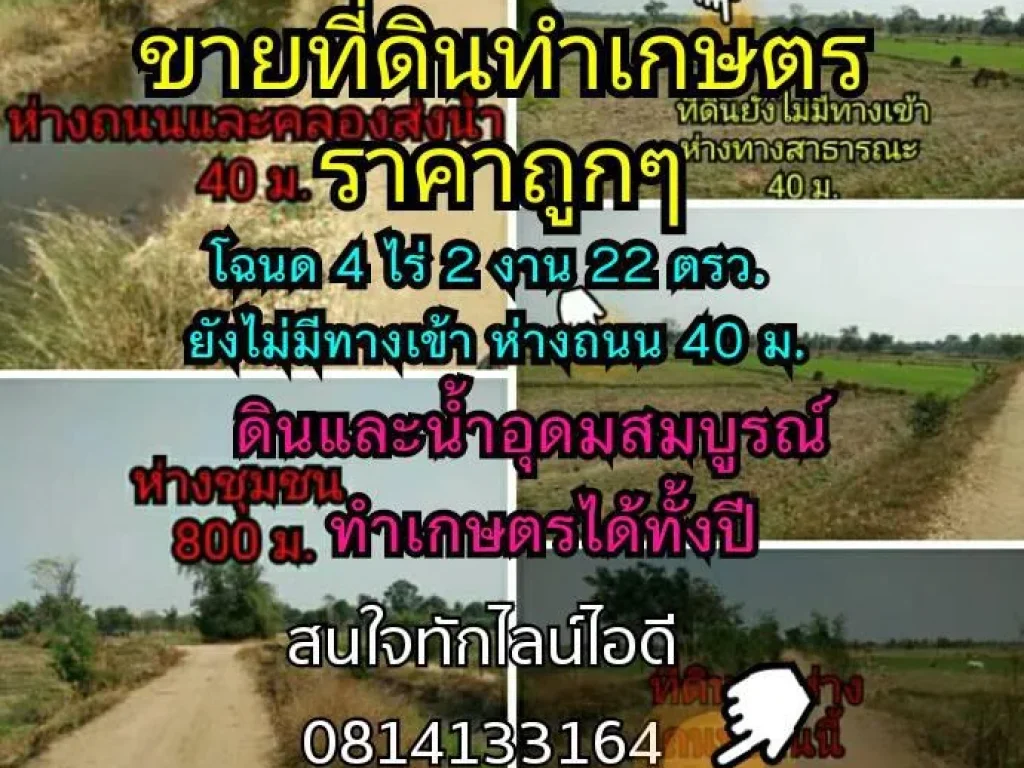 ขายที่ดินสำหรับทำการเกษตร ไม่มีทางเข้า ห่างถนน 40 ม บรรยากาศดี ดิน น้ำ อุดมสมบูรณ์