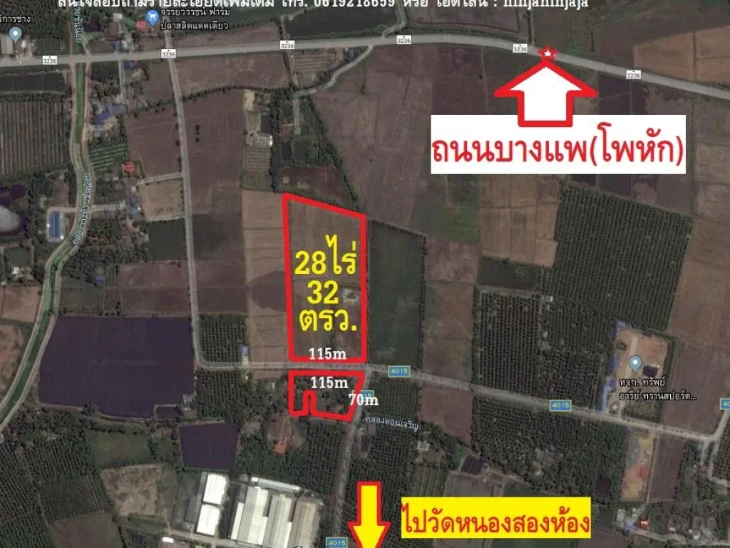 ขายสวนมะพร้าวน้ำหอมบ้านแพ้ว 28ไร่32ตรวติดถนน สค4015วัดหนองสองห้อง ที่ดินอยู่ในเขตรอยต่อบ้านแพ้ว - บางแพราชบุรี