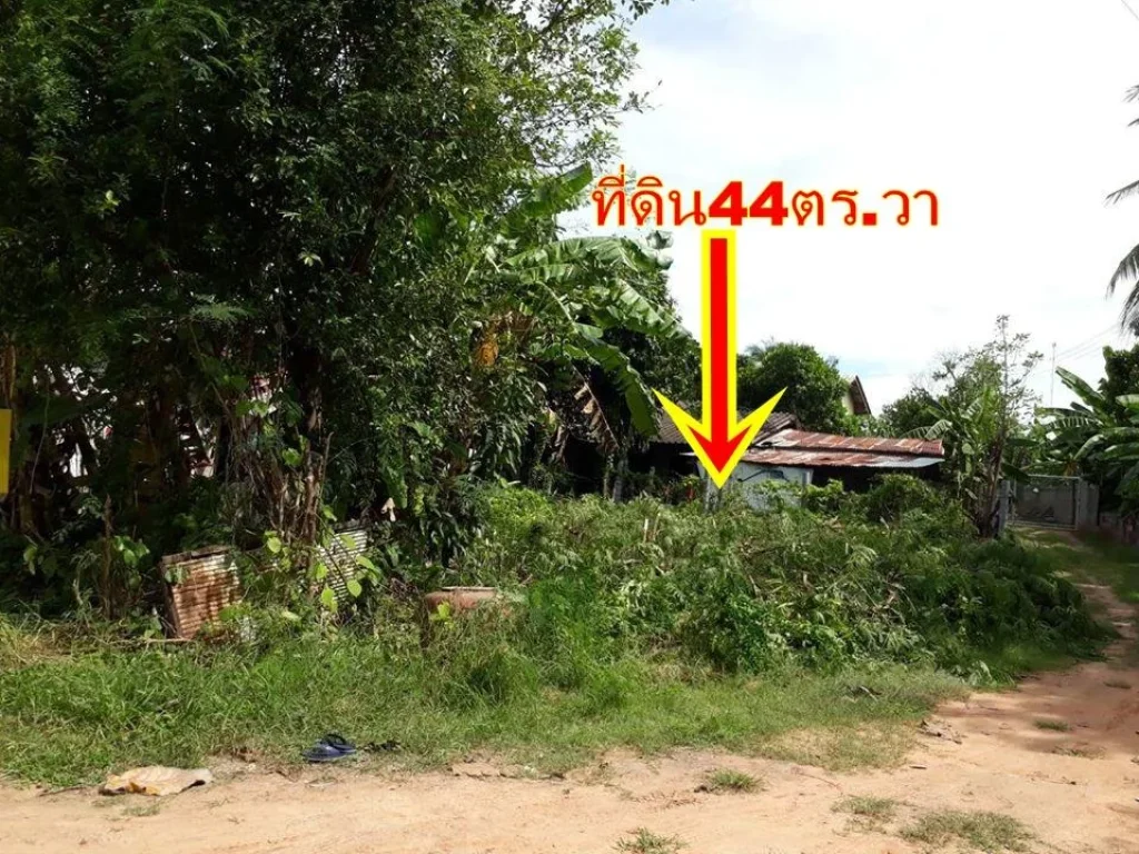 ขายที่ดิน44ตรวา เหมาะปลูกบ้านอยู่อาศัย อยู่ในซอยข้างวัดท่าช้าง ถนนราชบุรี-ดอนตะโก-สี่แยกห้วยชินสีห์ ขาย160000บาท