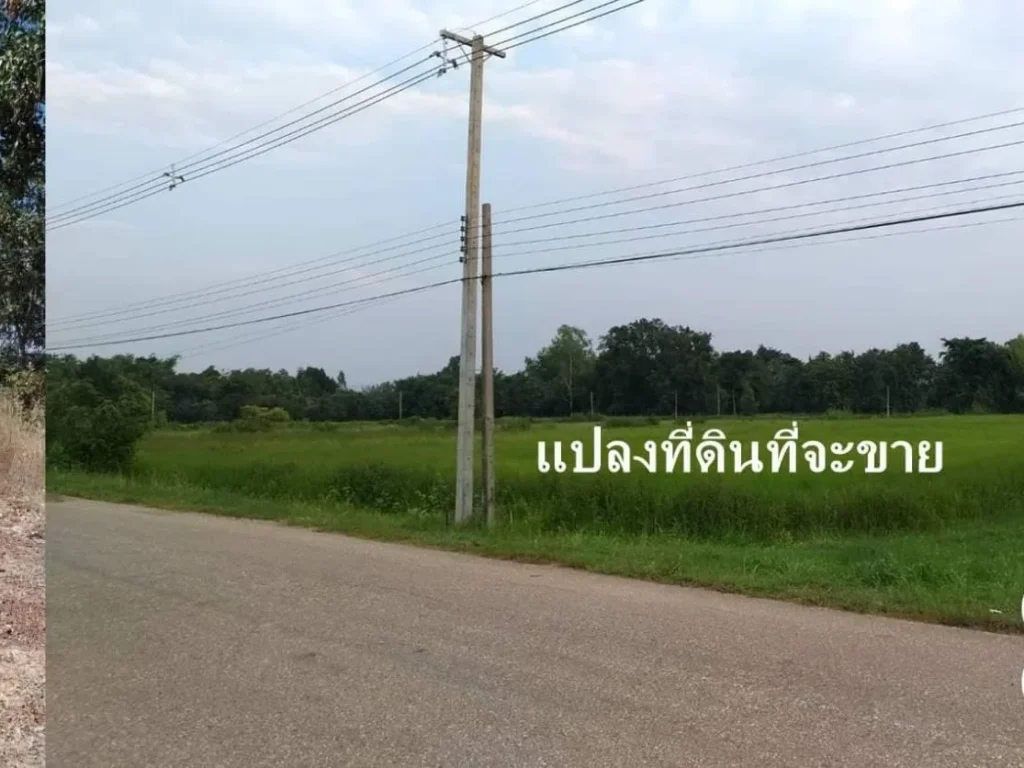 ที่ดินทำเลทองหน้ากว้าง 240 เมตร ใกล้หมู่บ้านน่าอยู่ ถนนเกือบรอบแปลงที่ดิน 22 ไร่ ขาย 43 ล้าน