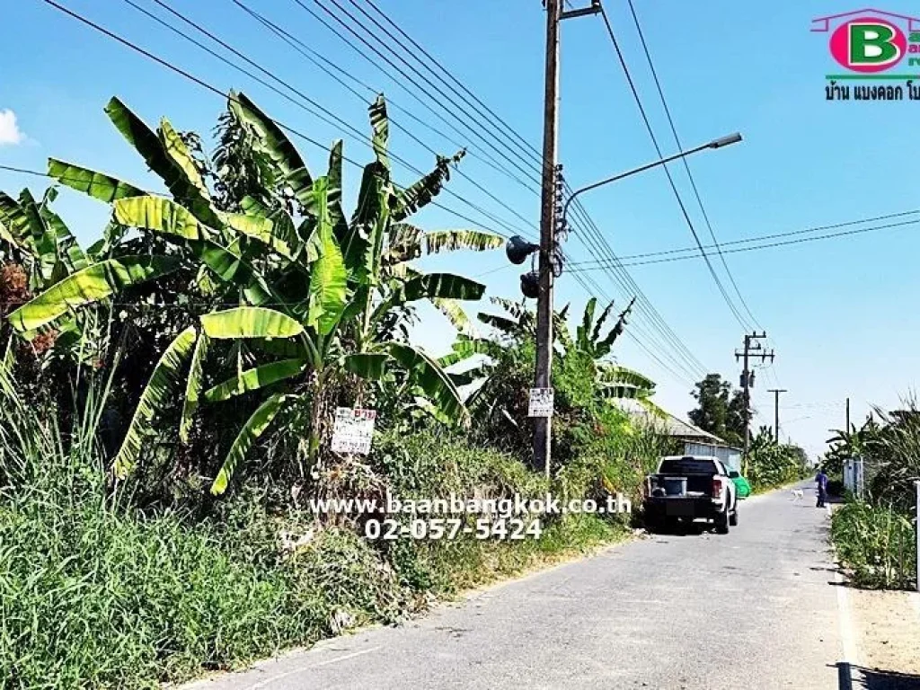 ที่ดิน ถมเเล้ว ซอยบงกช 43 เนื้อที่ 50 ตรว ถนนรังสิต-นครนายก คลองหลวง ปทุมธานี