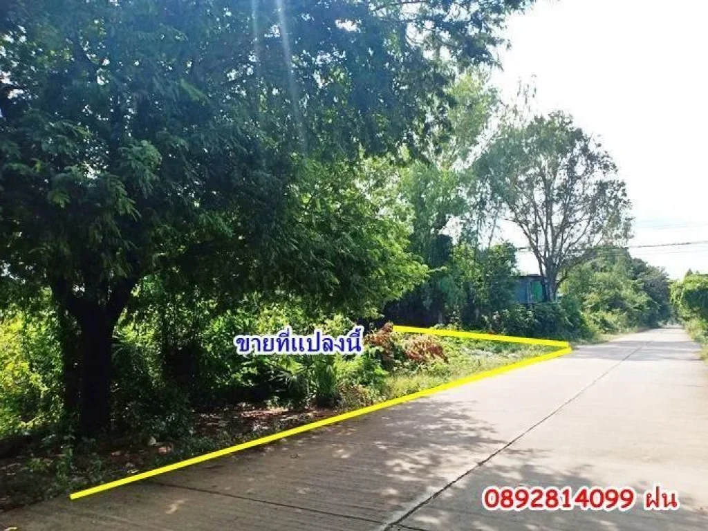 ที่ดินเปล่าใกล้สนามบิน พิกัดบ้านนิคม เนื้อที่ 148 ตรวติดถนนคอนกรีต 2 ด้าน