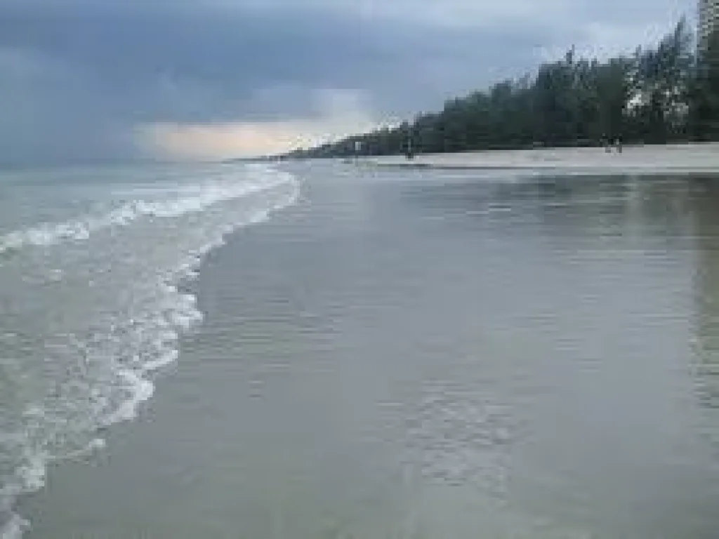 ขายที่ดินติดทะเลชายหาดเป็นส่วนตัว เดินลงทะเลได้เลย ไม่มีถนนกั้น หาดแม่พิมพ์ โฉนด 2 ไร่ 54 ตารางวา