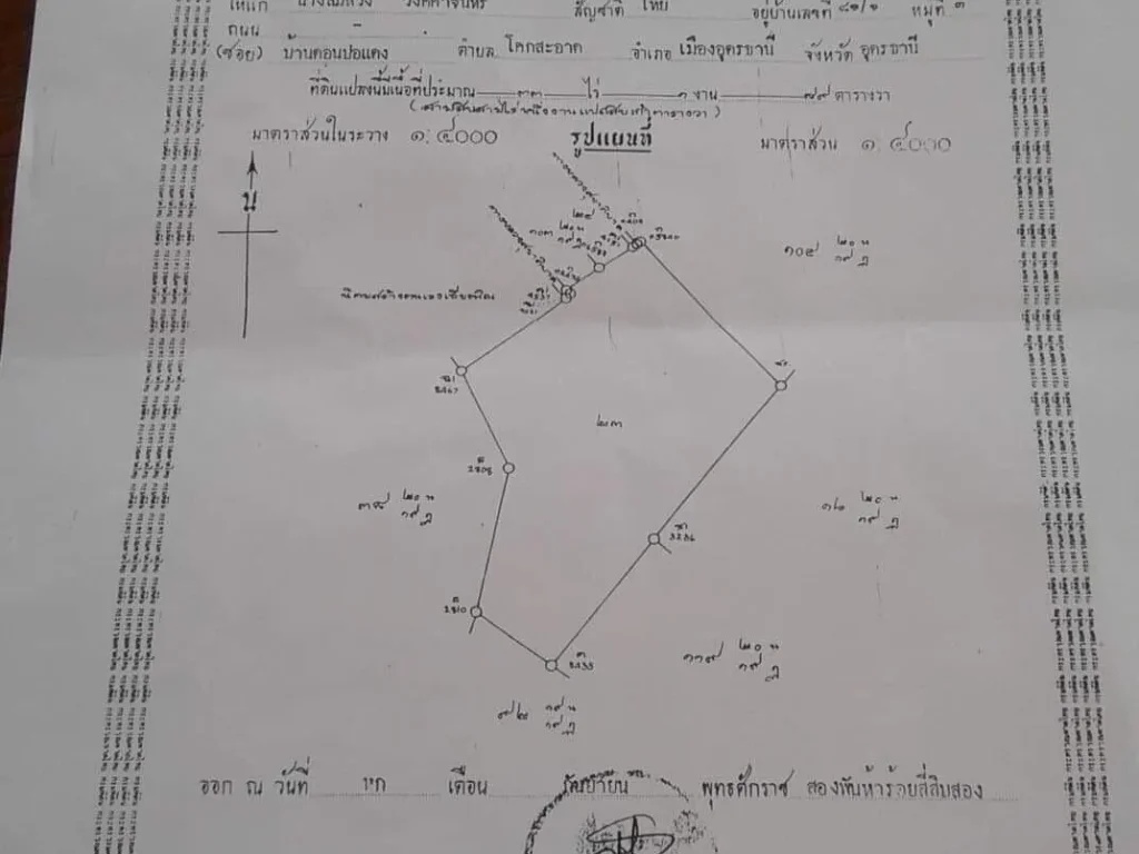 ขายที่ดิน22ไร่ ไร่ล่ะ250000 บ ราคาต่อรองได้ค่ะ