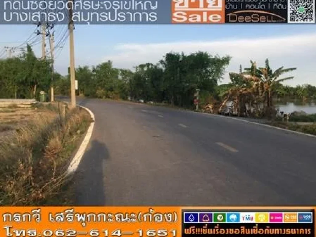 ขายที่ติดถนนวัดศีรษะจรเข้ใหญ่ 5638ตรวๆละ12400บ