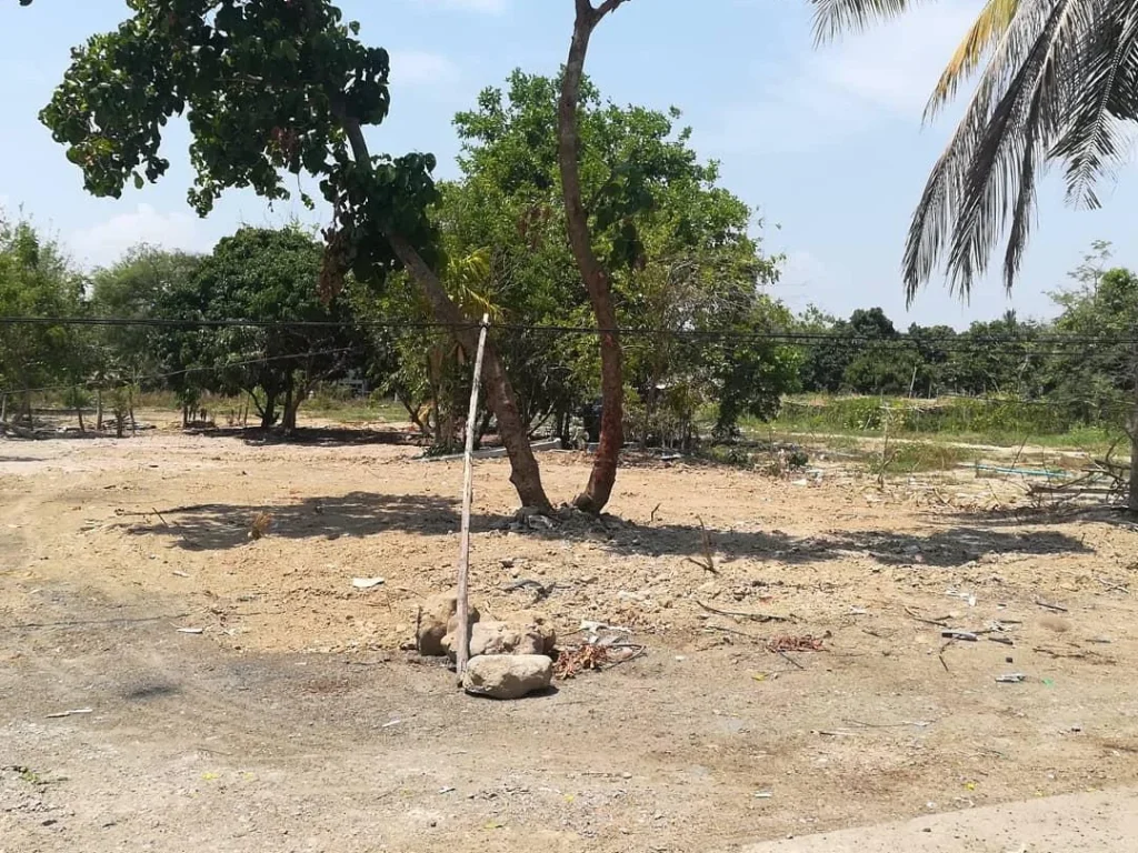 220 ตรว ติดถนนหลักบ้านโรงวัว ตน้ำบ่อหลวง อสันป่าตอง