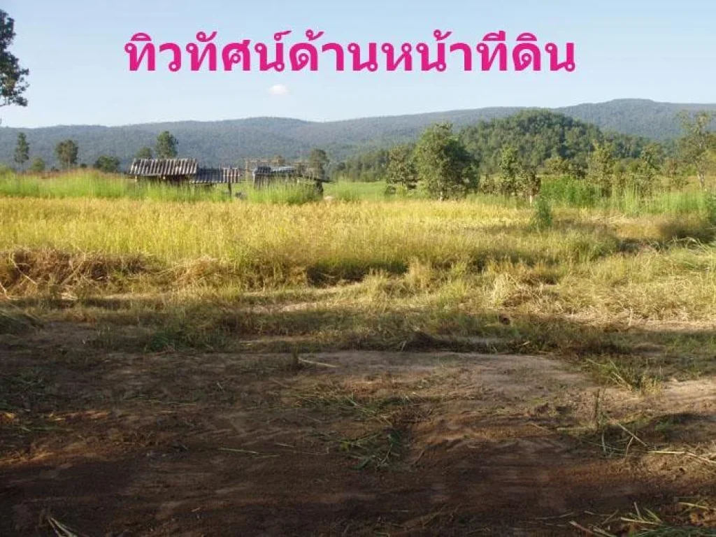 ขายที่ดิน 1 ไร่ 830000 นส 3ก เขต อ ภูเรือเหมาะกับบ้านพักตากอากาศและบ้านสวน