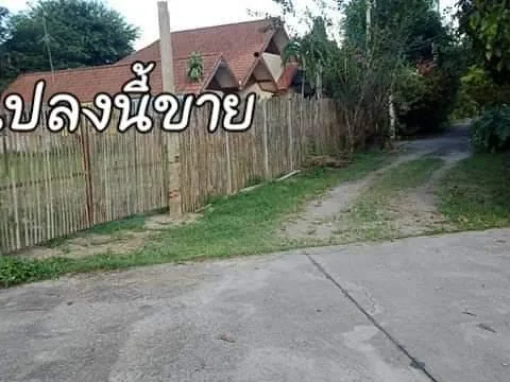 ขายที่ดินแม่ริม 4 ไร่ 342 ตรว