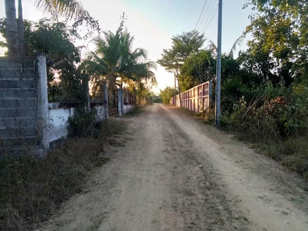 ที่ดินในเมืองอุบล 1 ไร่