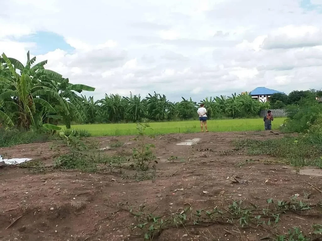 ขาย ที่ดินจัดสรรแถวบ้านดงไม้งาม บางใหญ่