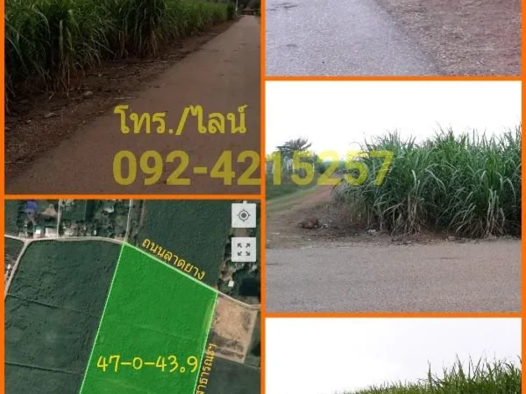 ขายที่ดิน ไร่อ้อย 47 ไร่ อโพธาราม จราชบุรี