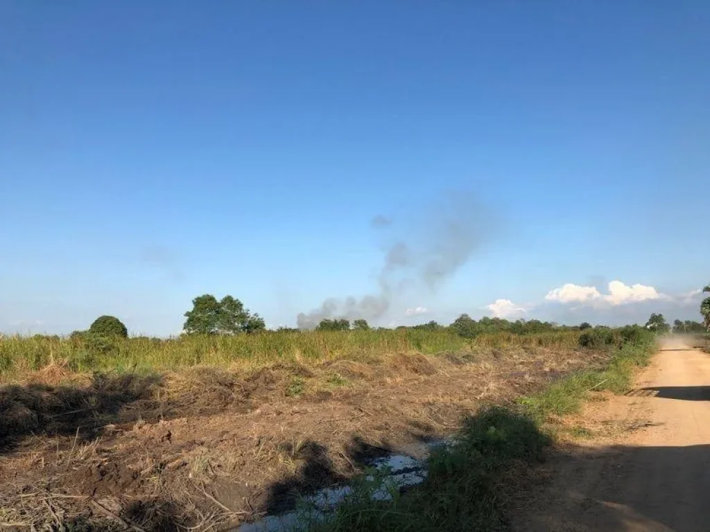 ขาย ที่ดินแปลงสวย 3 ไร่ ซอยคลองหกตะวันออก 48 คลองหลวง ปทุมธานี