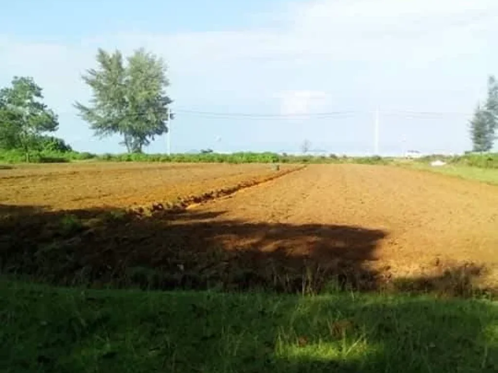 ที่ดินติดชายหาดกาสิงค์ บ้านบ่อเจ็ดลูก จสตูล