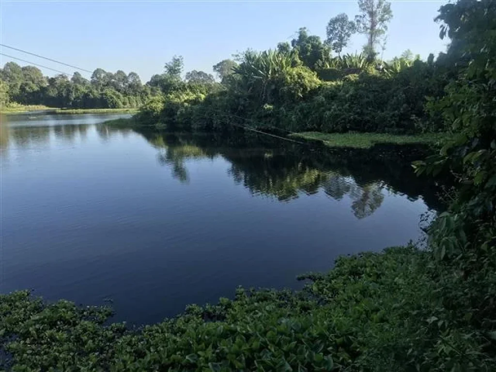 ที่ดิน นครนายก ติดน้ำ คลอง สวนผสม ไกล้ ทางหลวง ราคาเบากว่า ในโซน บ้านนา