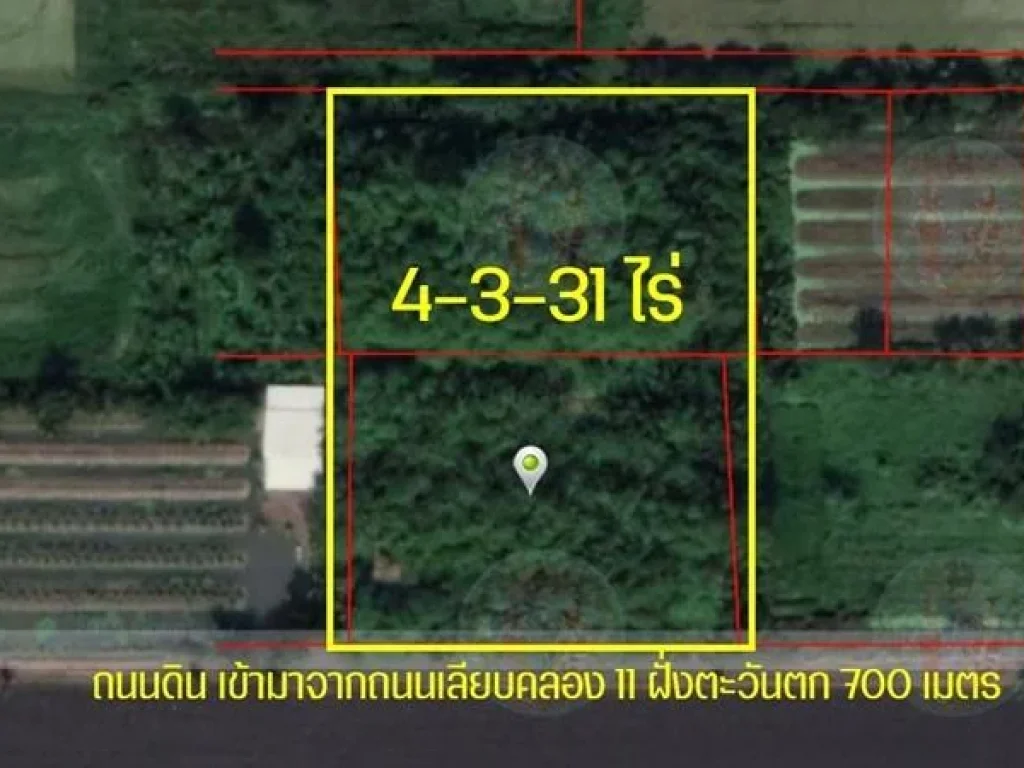 R053-020 ขายที่ดิน สวนไผ่ 4-3-31 ไร่ คลอง 11 ฝั่งตะวันตก ใกล้วัดป่าคลอง11 ตบึงกาสาม อหนองเสือ จปทุมธานี โทร 083 489 8